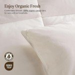 BPC Organic Down Comforter King Size Fluffy Duvet Insert for All-Season | Hotel Luxury 100% Cotton, High Fill-Power Medium Weight Feathers & Down Comforter, Ivory White, 106x90 Inches