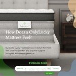 Onlylucky Queen Mattress,14 Inch Premier Gel Memory Foam Hybrid Mattress, Queen Size Mattress with Individual Pocket Spring for Motion Isolation & Pressure Relief, Comfort Night Sleep, Firm Support