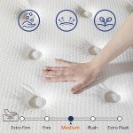 SUAYEA Queen Mattress, 14 Inch Queen Size Mattress in a Box, Hybrid Matterss with Pocket Spring and Soft Foam, Ultimate Motion Isolation, Strong Edge Support, Medium Firm