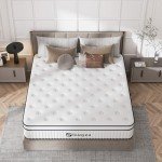 SUAYEA Queen Mattress, 14 Inch Queen Size Mattress in a Box, Hybrid Matterss with Pocket Spring and Soft Foam, Ultimate Motion Isolation, Strong Edge Support, Medium Firm