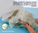 DreamyBlue Premium Pillow for Sleeping - Shredded Memory Foam Fill [Adjustable Loft] Washable Cover from Bamboo Derived Rayon - for Side, Back, Stomach Sleepers - CertiPUR-US Certified (King)