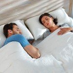 DreamyBlue Premium Pillow for Sleeping - Shredded Memory Foam Fill [Adjustable Loft] Washable Cover from Bamboo Derived Rayon - for Side, Back, Stomach Sleepers - CertiPUR-US Certified (King)