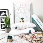 Sleepgram Bed Support Adjustable Hypoallergenic Cool Sleeping Loft Soft Pillow with Removeable Microfiber Cover, Queen Size, White (2 Pack)