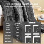 Aemicion Weighted Blankets Queen Size 20lbs for Adults,Soft Sherpa Fleece Heavy Weighted Blanket with Cozy Plush Flannel,Fluffy Warm Weighted Throw Blanket,60x80 inches,Dark Grey on Both Sides