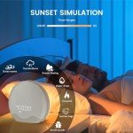 RICIAL Light Therapy Lamp, Sunlight Alarm Clock with 10,000 Lux Therapy Light, Wake Up Light with 20 Brightness & 4 Color Temperature, Dual Alarms & Snooze,11 Atmosphere Lights and Sleep Aid…
