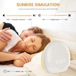 RICIAL Light Therapy Lamp, Sunlight Alarm Clock with 10,000 Lux Therapy Light, Wake Up Light with 20 Brightness & 4 Color Temperature, Dual Alarms & Snooze,11 Atmosphere Lights and Sleep Aid…