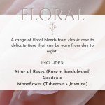 Herb & Root 3 Pc Mini Variety Perfume Set for Women or Men, Unisex Aromatherapy Oils Roll Ons, Floral, Gourmand, Woods, Earthy, Aromatic, Citrus (Floral)