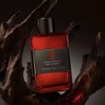 Antonio Banderas Perfumes - Secret temptation - Eau de toilette for Men - Long Lasting - Masculine, Elegant and Sexy Fragance - Aromatic, Woody and Vanilla Notes - Ideal for Day Wear - 3.4 Fl Oz