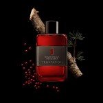 Antonio Banderas Perfumes - Secret temptation - Eau de toilette for Men - Long Lasting - Masculine, Elegant and Sexy Fragance - Aromatic, Woody and Vanilla Notes - Ideal for Day Wear - 3.4 Fl Oz
