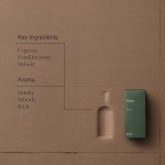 Aesop Hwyl Eau de Parfum | Smoky, Woody, Rich Fragrance | Cypress, Frankincense, Vetiver | Unisex | 1.6 oz