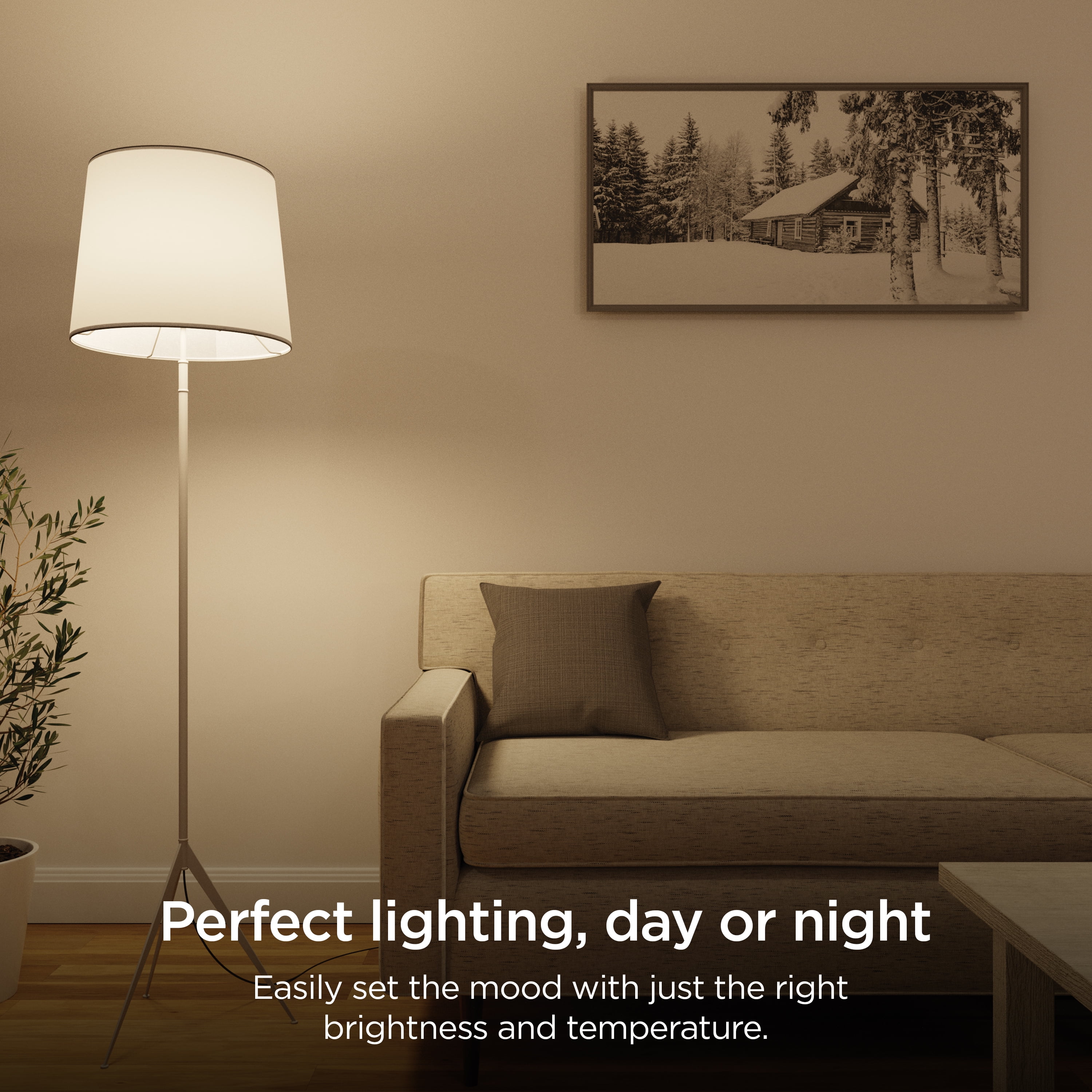 Roku Smart Home Adjustable Brightness White Bulbs 4-Pack