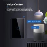 Wifi Smart Touch Switch for Smart Homes