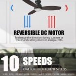 52" Smart Ceiling Fan with Lights & App Control