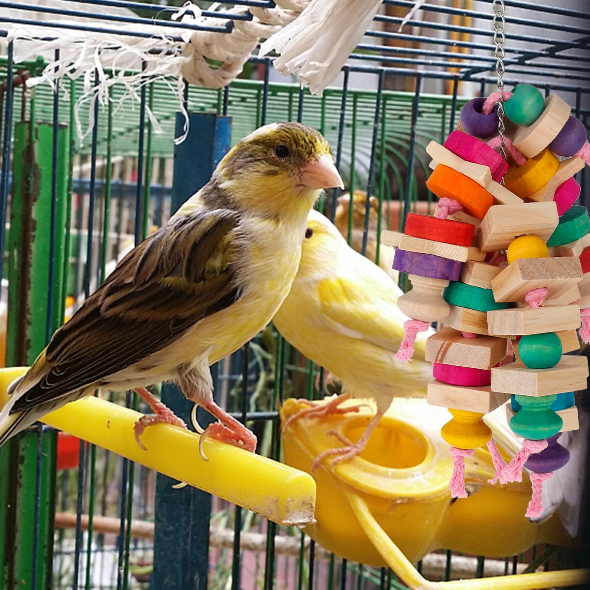DIY Adjustable Height Parrot Chewing Toy