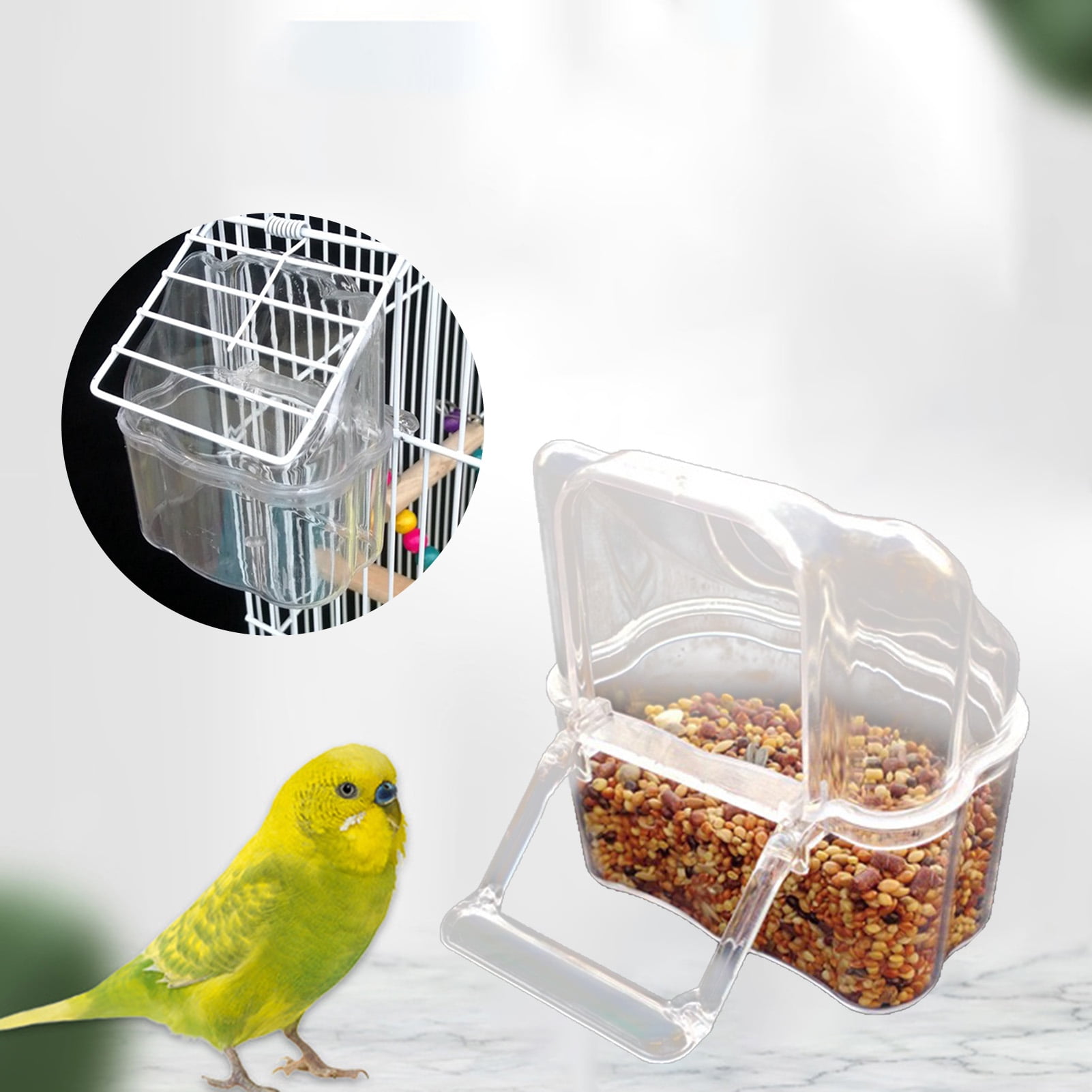 Large Capacity Parrot Feeder with Transparent Bowl