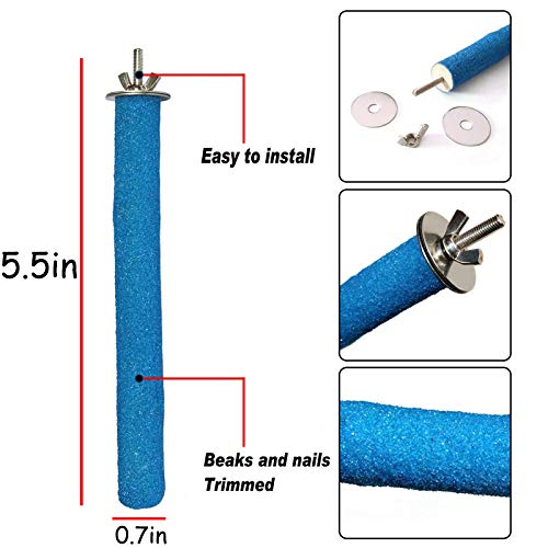 Parrot Stainless Steel Feeding Dish with Clamp (5-Pack)