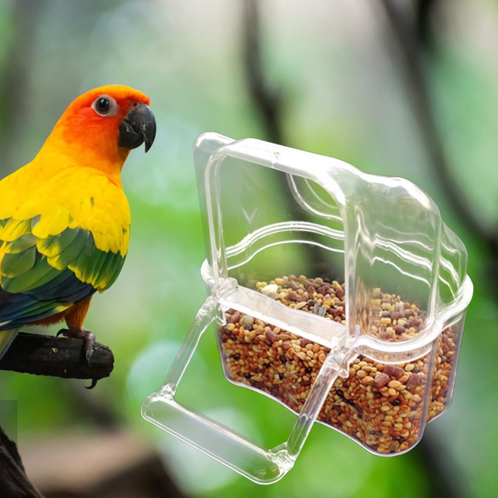 Large Capacity Parrot Feeder with Transparent Bowl