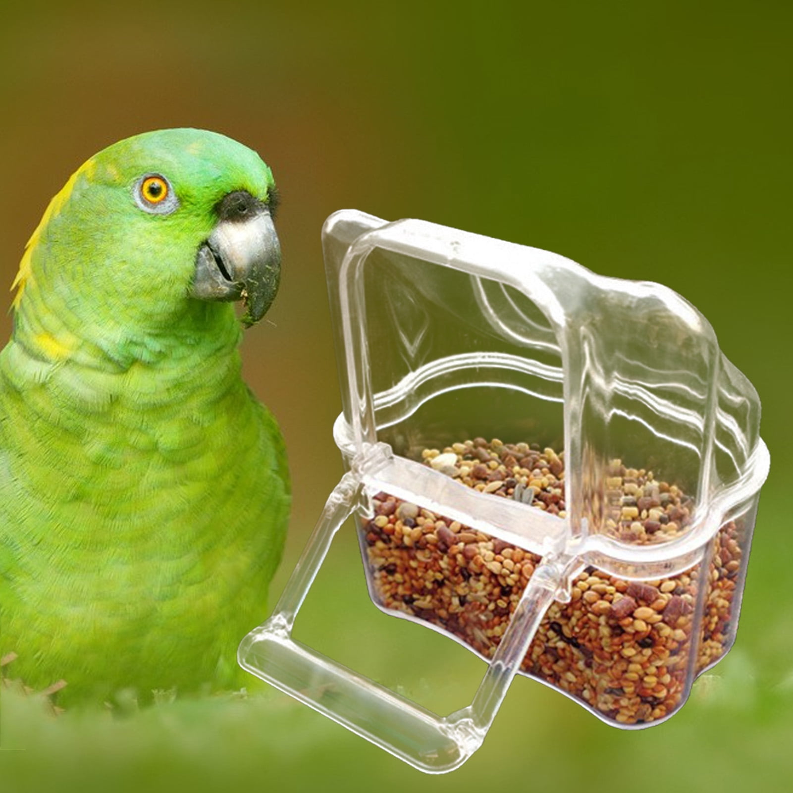Large Capacity Parrot Feeder with Transparent Bowl