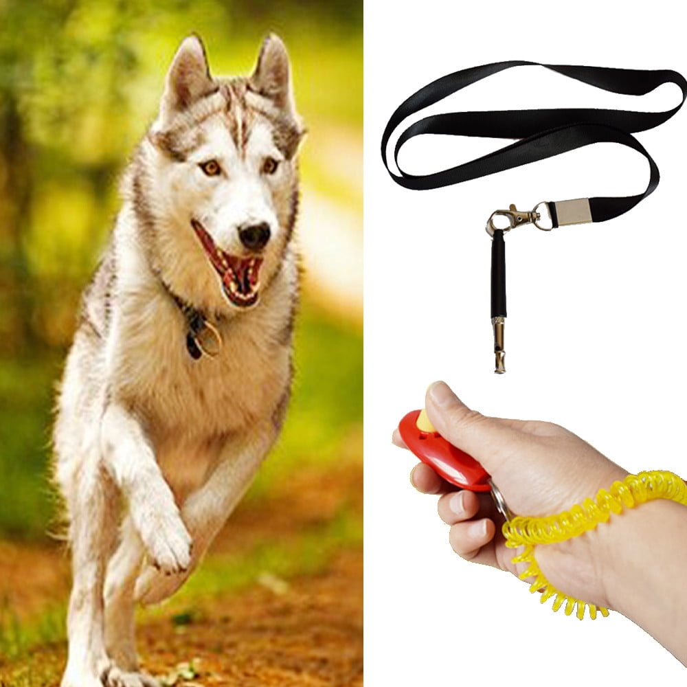 Pet Training Whistle & Clicker for Parrots