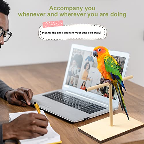 Parrot Training Kit with Clicker and Perch