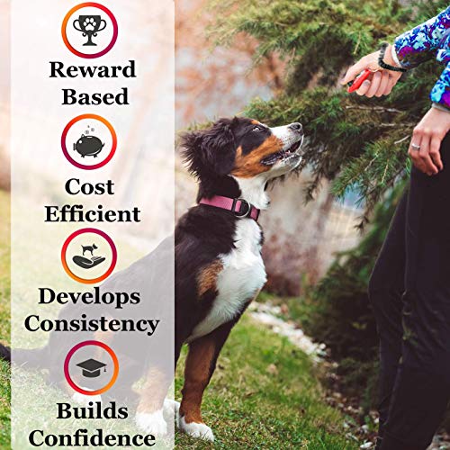 Parrot Clicker Training Kit, 2-Pack