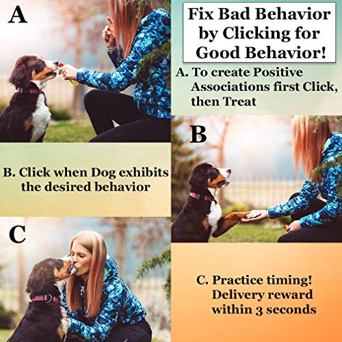 Parrot Clicker Training Kit, 2-Pack