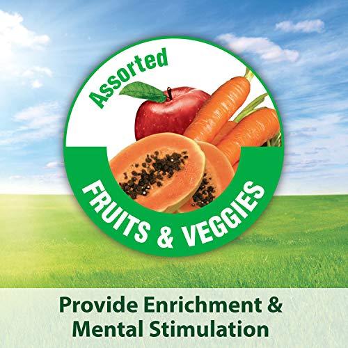 Kaytee Fiesta Parrot Pet Bird Food, 4.5 Pound