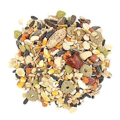 Premium Vitamin-Fortified Parrot Food for Large Birds