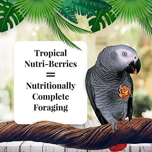 Tropical Fruit Nutri-Berries for Parrots, 3 lb