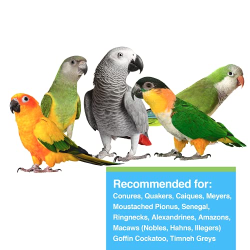 Hagen Tropimix Small Parrot Enrichment Food