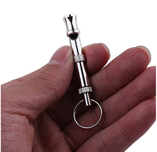 Parrot Training Whistle - Silver