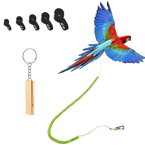 Parrot Leash with Soft Foot Loops & Training Whistle