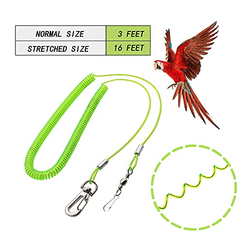Parrot Leash with Soft Foot Loops & Training Whistle