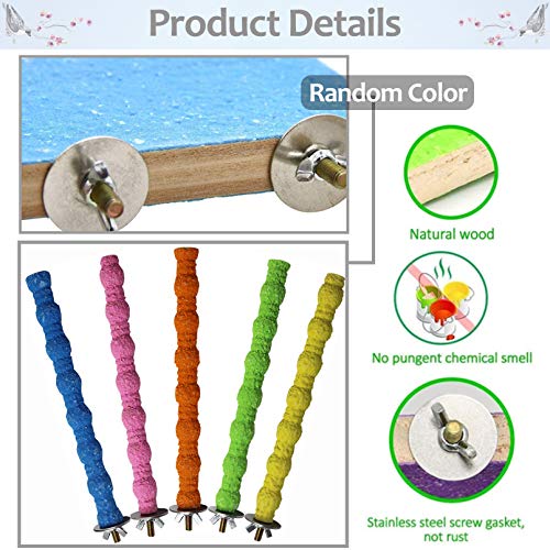 Stainless Steel Bird Feeding Cups with Stand (7)