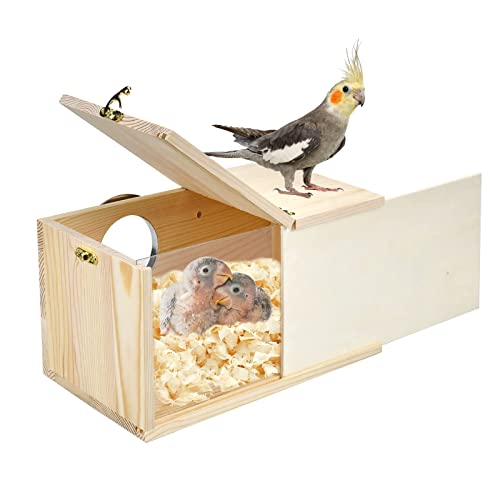 Acrylic/Wooden Parakeet Bird Breeding Box House