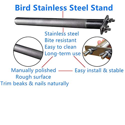 Stainless Steel Parrot Perch with Grinding Stick