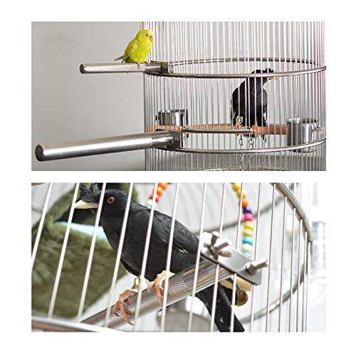 Stainless Steel Parrot Perch with Grinding Stick