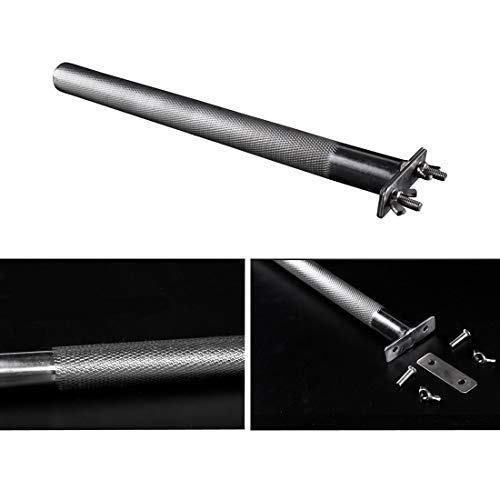 Stainless Steel Parrot Perch with Grinding Stick