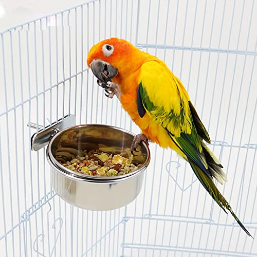 Stainless Steel Bird Feeding Cups (3-Pack)