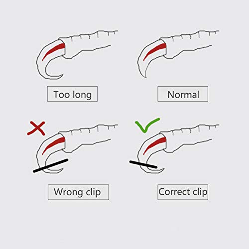 OMEM Bird Nail Clippers with Grinding Nail Scissors Tool Pet Parrot Claw Care (Blue,L)