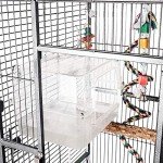 Large Bird Bath for Parrots