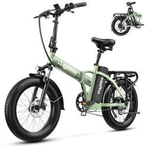 Bluebiko F6B 1000W E-Bike: Fast, Long-Range, Foldable