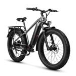 VEEFA E1 750W/Peak 1000W Electric Mountain Bike With Fat Tires