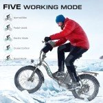 Vivi MT20UL Fat Tire Electric Bike: 20" Fat Tire, 50 Mile Range