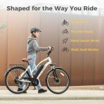 Jasion CB1 Electric Bike for Adults - 1000W Power & Comfort