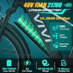 Vivi ACE01 Fat Tire Electric Bike for Adults With 25MPH