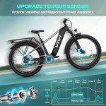 Vivi ACE01 Fat Tire Electric Bike for Adults With 25MPH