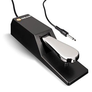 M-Audio SP-2 Sustain Pedal for Digital Pianos & MIDI Keyboards