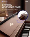 Donner DDP-200: 88-Key Professional Weighted Digital Piano