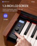 Donner DDP-200: 88-Key Professional Weighted Digital Piano